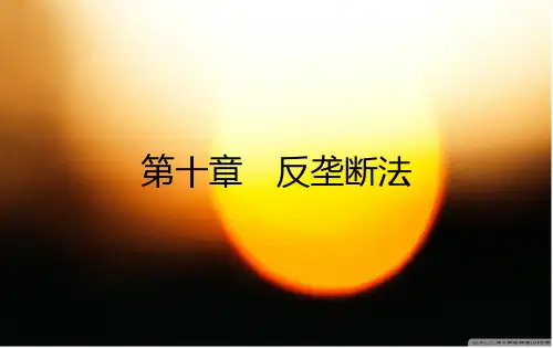 第10章反垄断法