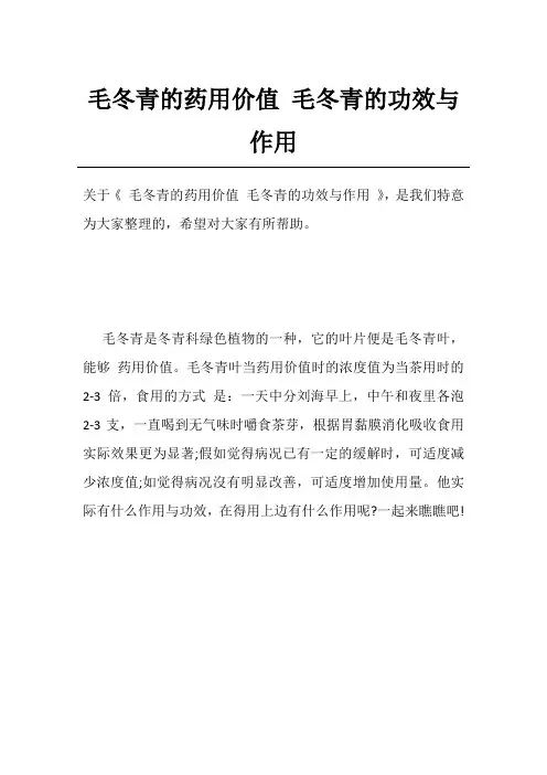 毛冬青的药用价值毛冬青的功效与作用