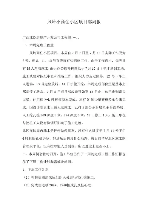 凤岭小商住小区项目部周报7。7-7。13