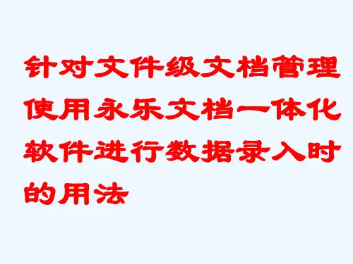 针对文件级文档管理使用永乐文档一体化软件进行数据录入时的用法