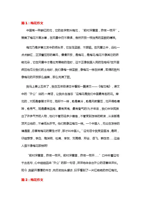 欲扬先抑的作文700字写梅花初一