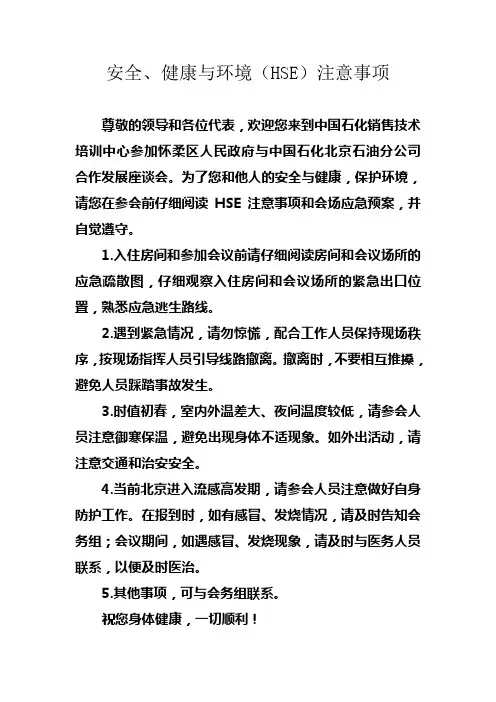 安全、健康与环境(HSE)注意事项