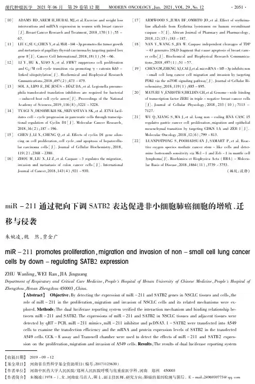 miR-211通过靶向下调SATB2表达促进非小细胞肺癌细胞的增殖、迁移与侵袭
