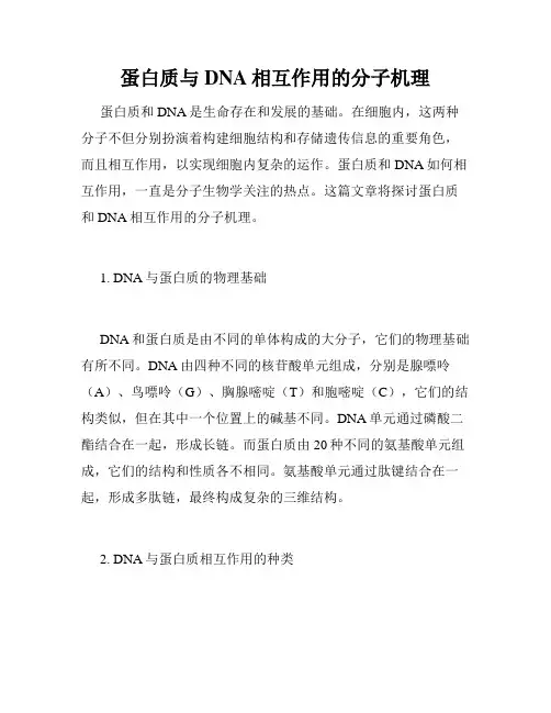 蛋白质与DNA相互作用的分子机理