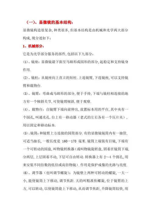 显微镜结构介绍