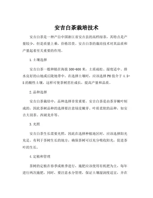 安吉白茶栽培技术