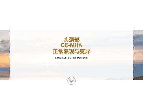 头颈部CE-MRA正常表现与变异