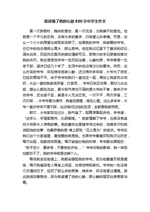 我读懂了他的心酸800字中学生作文