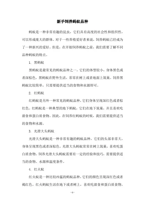 新手饲养蚂蚁品种