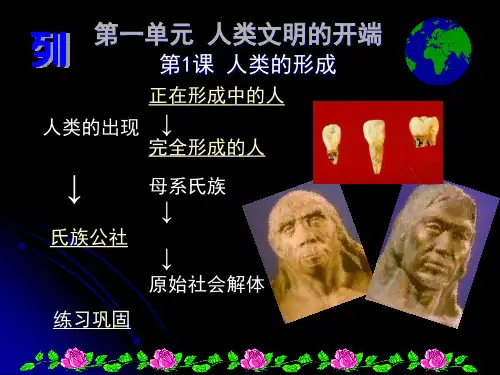 人类的形成(1)PPT课件
