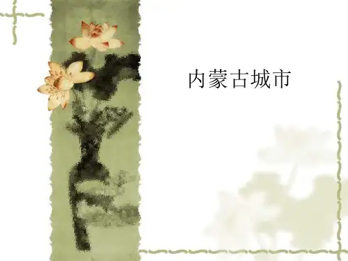 Optimized内蒙古城市