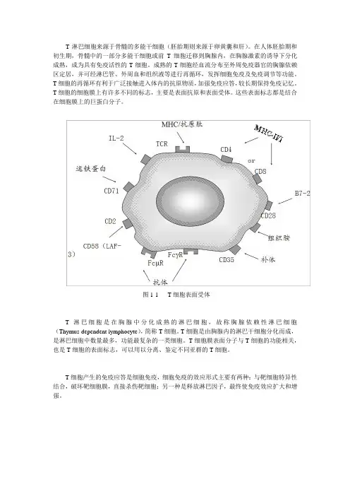 新型技术“T细胞活化技术”