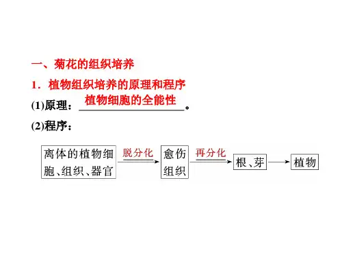 植物组织培养的原理和程序
