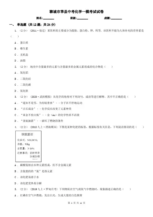 聊城市莘县中考化学一模考试试卷