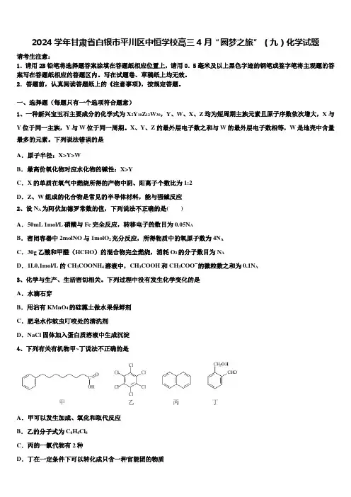 2024学年甘肃省白银市平川区中恒学校高三4月“圆梦之旅”(九)化学试题含解析