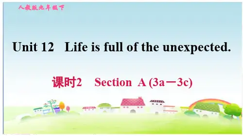 人教版九年级英语下册 Unit 12 课时2 Section A (3a-3c)【习题课件】