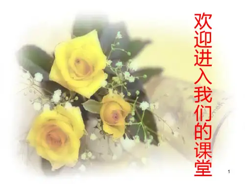 中考小说阅读专题：人物形象分析课件.ppt