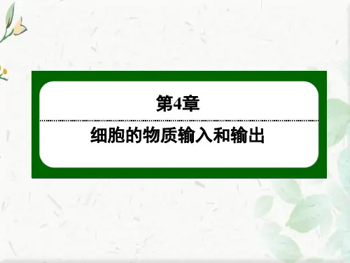 生物人教版必修1课件：4-2 主动运输与胞吞、胞吐