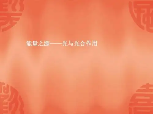 2015届高考一轮生物详细复习《能量之源光与光合作用》课件新人教版