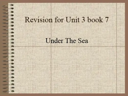 人教版高中英语选修7：Unit 3 Under the sea(5)