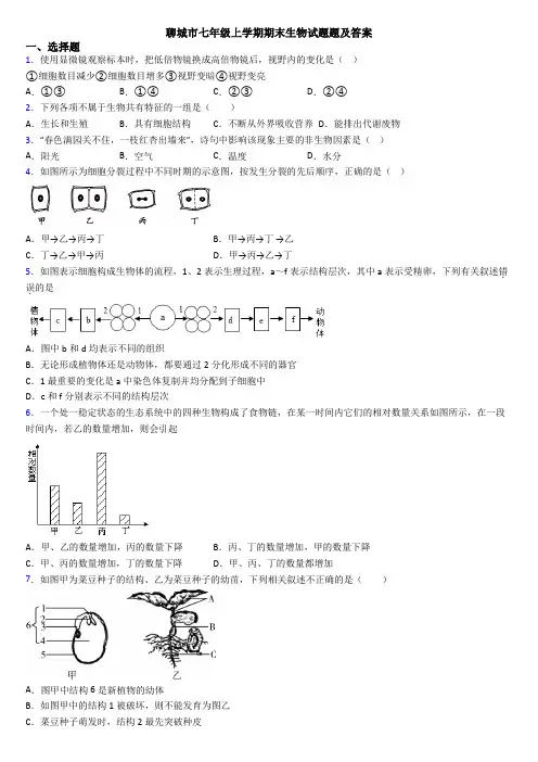 聊城市七年级上学期期末生物试题题及答案