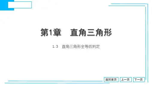 1.3 直角三角形全等的判定课件-2023-2024学年湘教版数学八年级下册