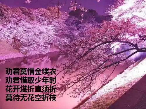 桩基础工程量计算