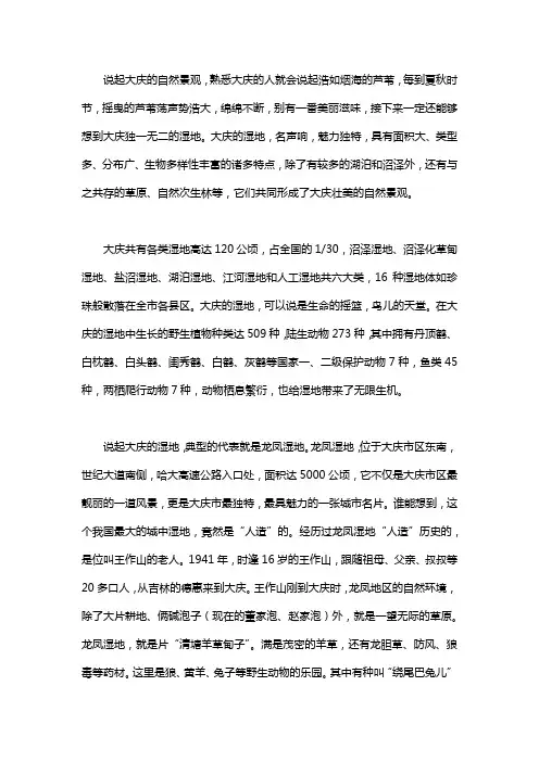 大庆的湿地