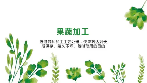 果蔬加工    