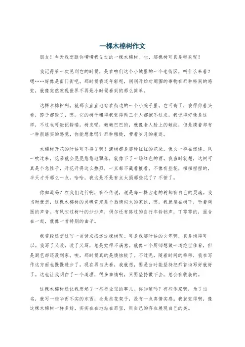 一棵木棉树作文