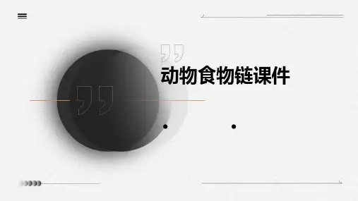 动物食物链课件ppt