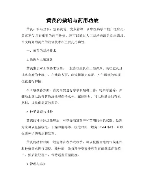 黄芪的栽培与药用功效