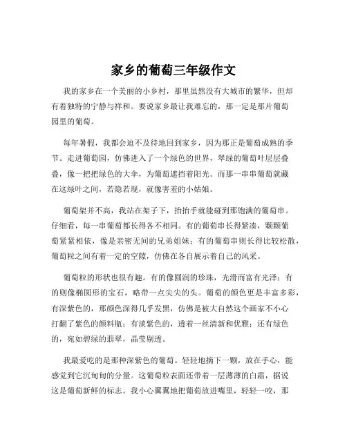 家乡的葡萄三年级作文