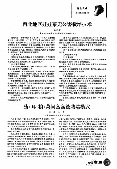 西北地区娃娃菜无公害栽培技术