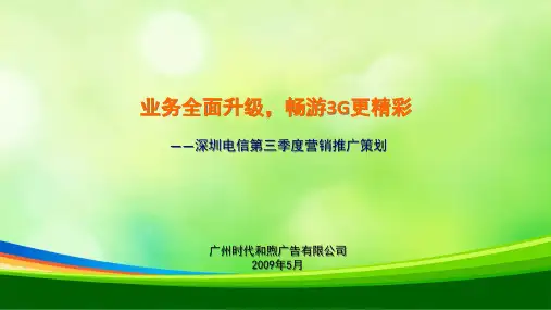 深圳电信营销推广策划(ppt 20页)