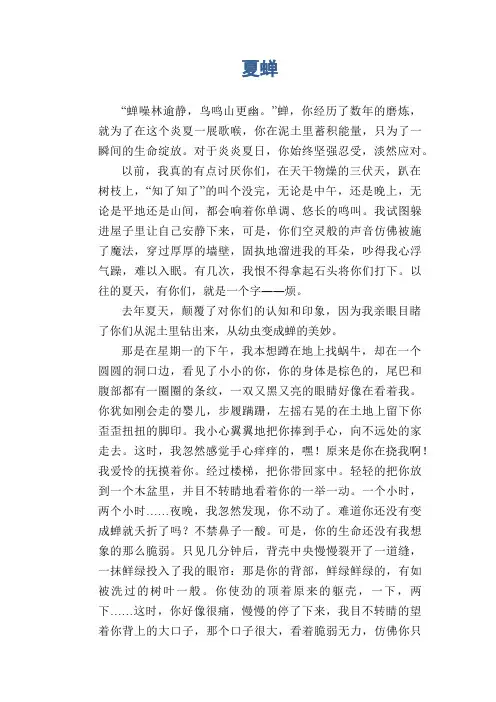 初中生状物作文：夏蝉