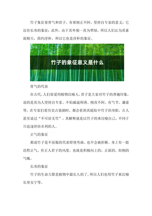竹子的象征意义是什么