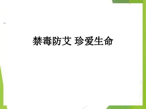 《禁毒防艾 珍爱生命》课件