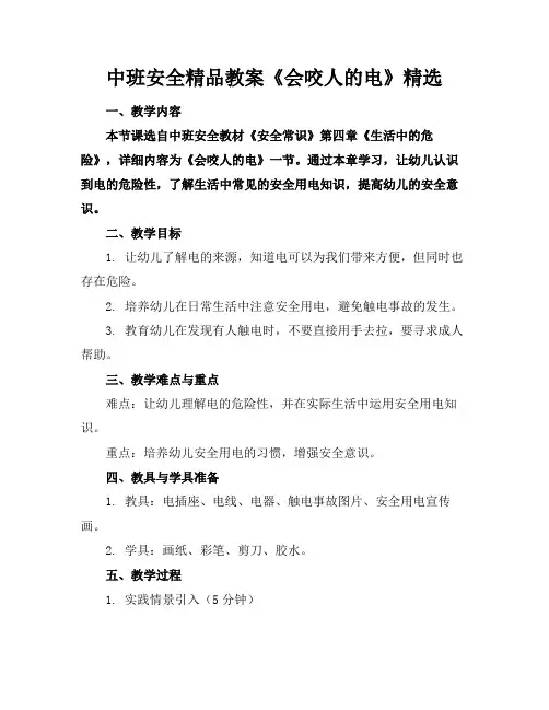 中班安全精品教案《会咬人的电》精选