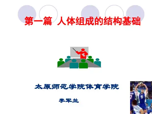 01细胞与细胞间质