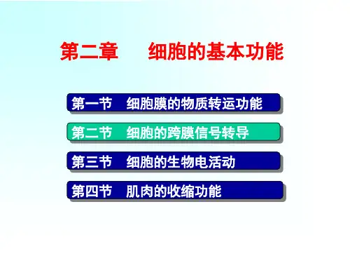 人体解剖生理学：第二章   细胞的基本功能1