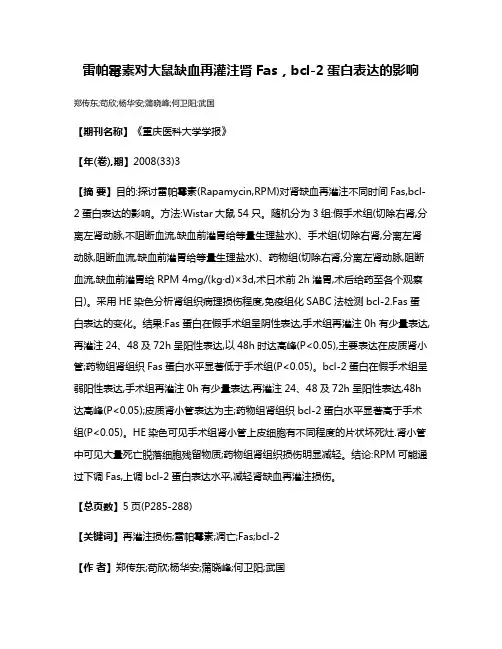 雷帕霉素对大鼠缺血再灌注肾Fas，bcl-2蛋白表达的影响