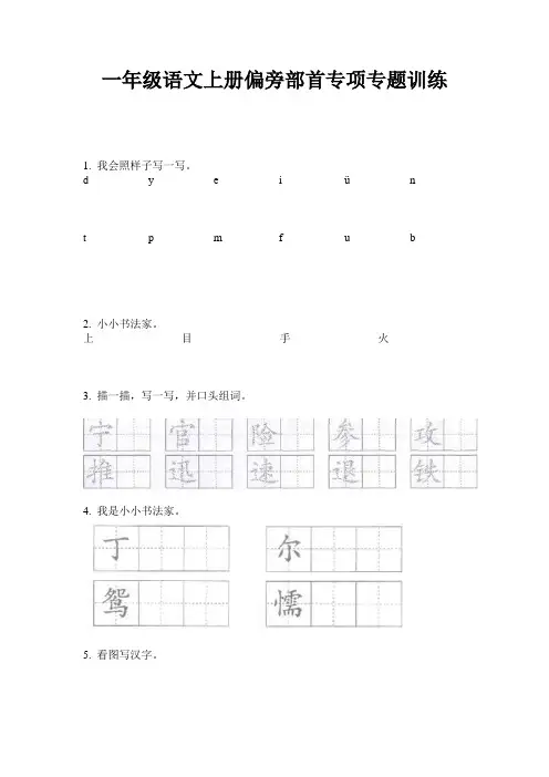 一年级语文上册偏旁部首专项专题训练