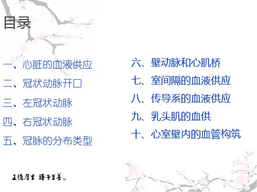 冠状动脉解剖与冠状动脉造影1