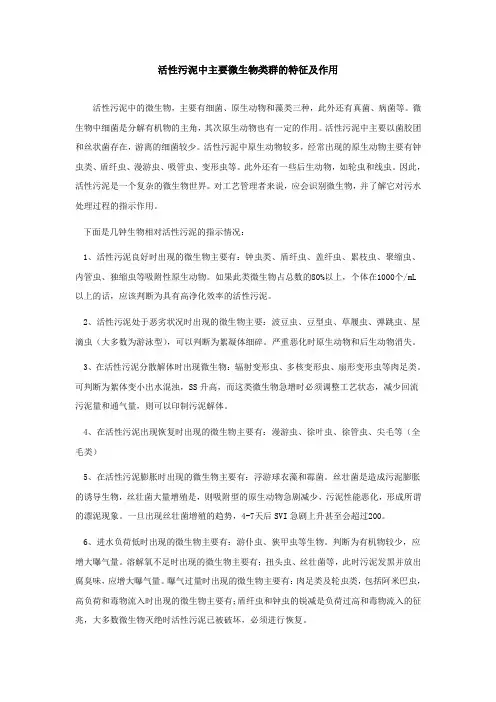 活性污泥中的微生物