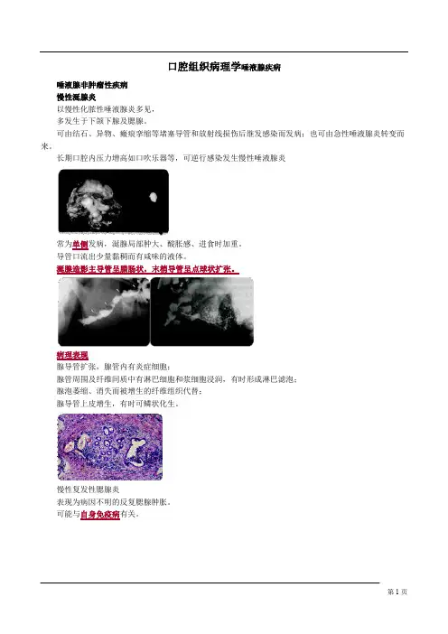口腔组织病理学唾液腺疾病