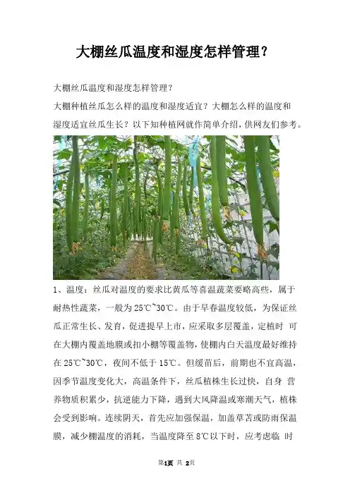 大棚丝瓜温度和湿度怎样管理？