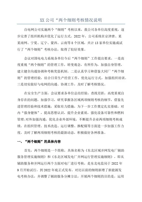 XX公司“两个细则考核情况说明