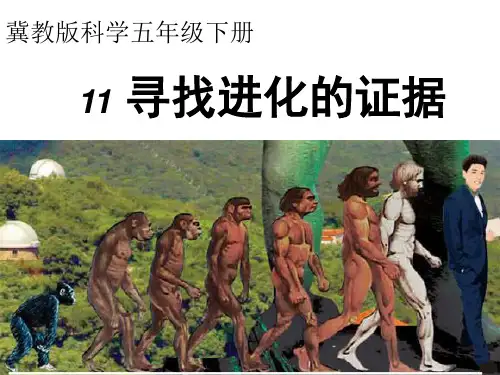 五年级下册科学课件-11寻找进化的证据 冀教版 (共17张PPT)
