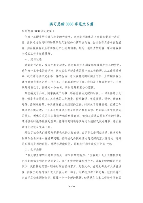 实习总结3000字范文5篇